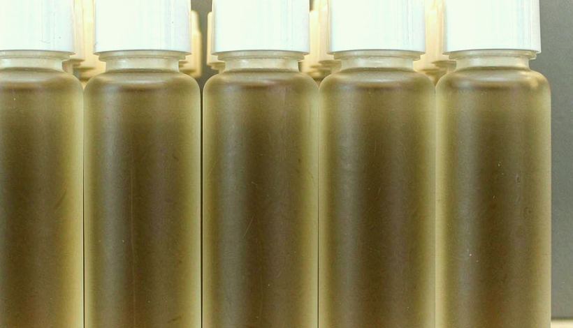 Bulk Order Price Negotiations Import: Lead Times for Wholesalers — Bulk Order Vape Price Negotiations Bulk