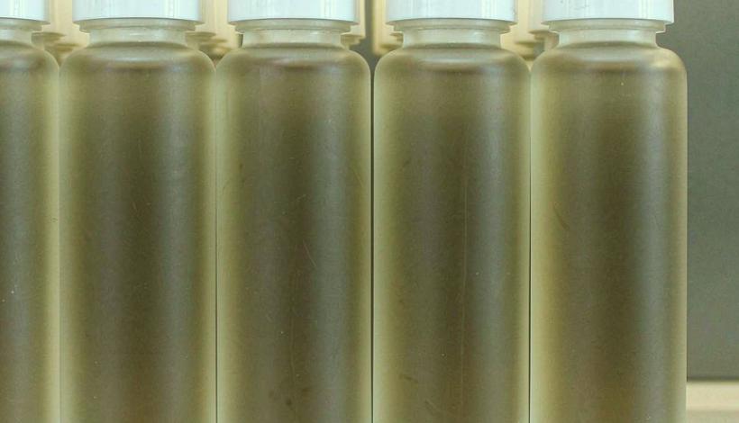 Bulk Order Vape Price Negotiations packaging detail