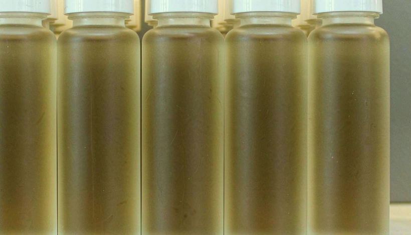 Export-Ready Bulk Order Price Negotiations: Range Mix for Wholesalers — Bulk Order Vape Price Negotiations Bulk